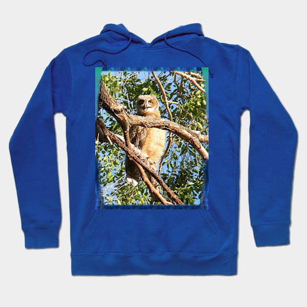 WHO ARE YOU? Hoodie by Hot Rod America